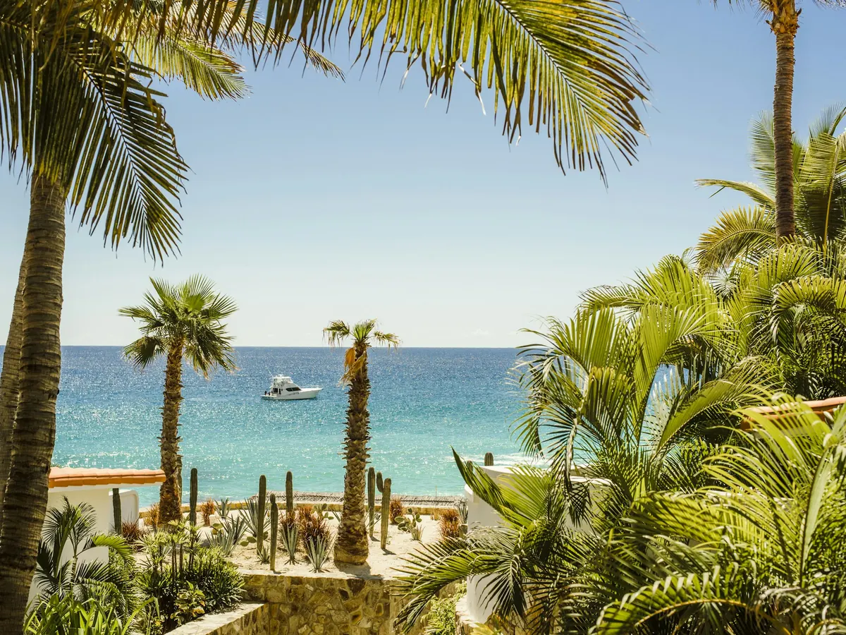 Palm trees above a turquoise sea